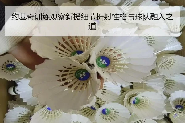 约基奇训练观察新援细节折射性格与球队融入之道